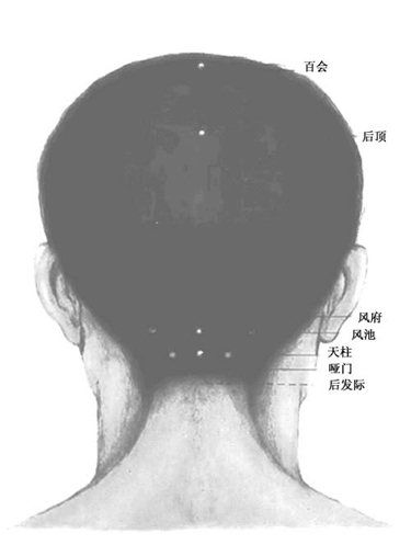 人体头部穴位图(背面) 人体头部穴位图(背面)