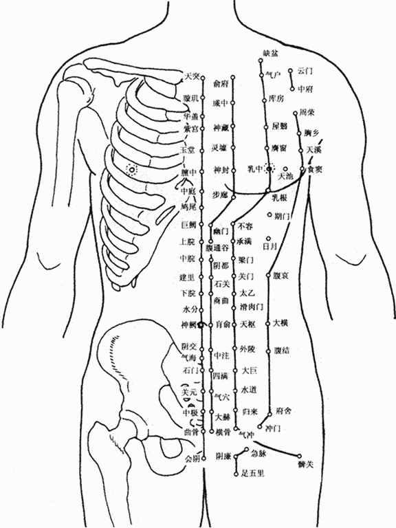 人(rén)体胸部腹部穴位(wèi)图 人(rén)体胸部腹部(bù)穴位(wèi)图