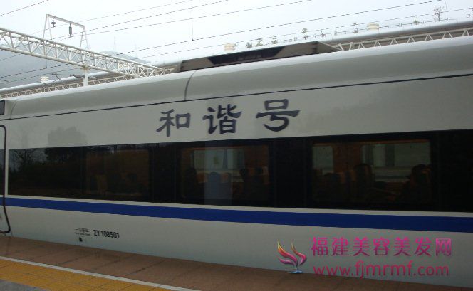 动车网络购票网(wǎng)站(zhàn) 和谐号(hào) 动车(chē)网络购(gòu)票网(wǎng)站 和谐(xié)号