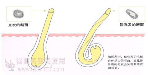 &#20896;&#20122;&#23448;&#26041;&#22312;&#32447;&#20837;&#21475;&#45;&#20896;&#20122;&#65288;&#20013;&#22269;&#65289;