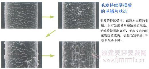 &#20896;&#20122;&#23448;&#26041;&#22312;&#32447;&#20837;&#21475;&#45;&#20896;&#20122;&#65288;&#20013;&#22269;&#65289;