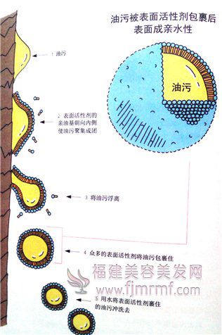 &#20896;&#20122;&#23448;&#26041;&#22312;&#32447;&#20837;&#21475;&#45;&#20896;&#20122;&#65288;&#20013;&#22269;&#65289;